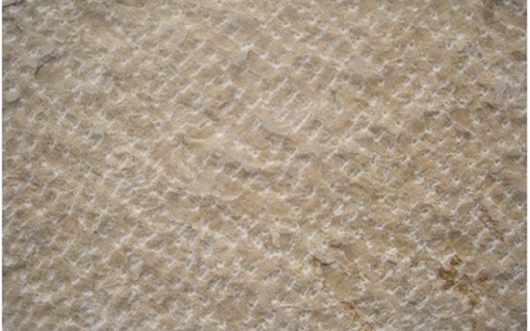Gold Natural Stone